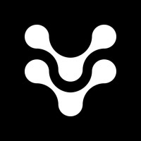 Velstadt Cybersecurity logo - Similar company to Beyond Visual Ltd.