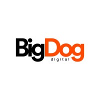BigDog Digital logo - Similar company to Sanphix