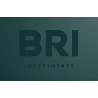 BRI - Bourn Rock Investiments logo - Similar company to Grupo Blueotter