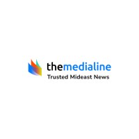 The Media Line logo - Similar company to Sanabil Digital