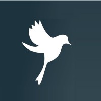 Birdtech logo - Similar company to Bird Tech Ltd