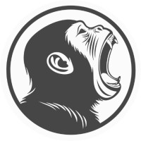 HOLLER media logo - Similar company to Webmind