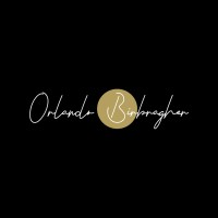 Orlando Birbragher logo - Similar company to Vivifi Ventures