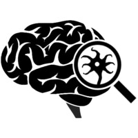 Brain Discovery logo - Similar company to Brain Discovery Global School