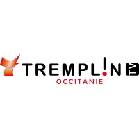 Tremplin TV logo - Similar company to Full Frame Talk