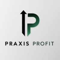 Praxis Profit logo - Similar company to Apex Advisors