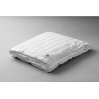 SENG SHUI AB logo - Similar company to Gubo Textile
