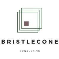 Bristlecone Consulting logo - Similar company to Western Projects