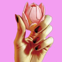 Sugar Petals logo - Similar company to Le Chocolat