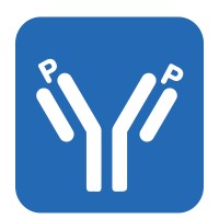 PhosphoSolutions logo - Similar company to Avedis Inc.