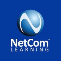 Linked In Learning- Netcom (CSAM) logo - Similar company to Linked Learning