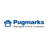 Pugmarks InterCloud logo - Similar company to Source Central Partners