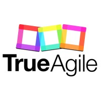 True Agile logo - Similar company to Trueagile - Institute For Agility & Innovation