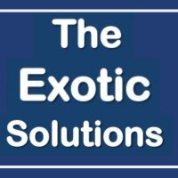 The Exotic Solutions logo - Similar company to Dynamic Industries