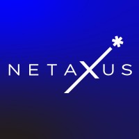 Netaxus logo - Similar company to Accutax Bizsolutions Private Limited