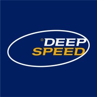 Deepspeed logo - Similar company to Edrivelab
