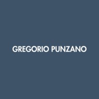 Gregorio Punzano logo - Similar company to Villae