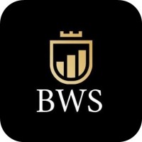 BWS Consultoria, Auditoria e Perícias logo - Similar company to Bws Contabilidade, Auditoria E Perícias