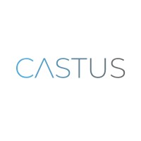 Castus Technologies logo - Similar company to Actea Inc