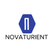Novaturient AI logo - Similar company to Recorem