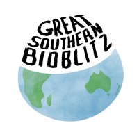 Great Southern Bioblitz logo - Similar company to Climate Cicadas