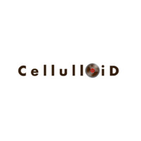 Planet Cellulloid Pvt Ltd logo - Similar company to Irecman Software Solutions Llp