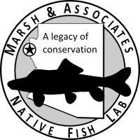 Marsh & Associates, LLC logo - Similar company to Marsh & Associates, Inc.