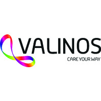 valinos logo - Similar company to Serkel Solutions Pty Ltd