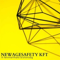 NEWAGESAFETY logo - Similar company to Smart Safety Solutions Ltd