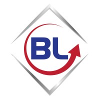 BRAIN LEADER COMPANY LTD. logo - Similar company to Raven Dynamics