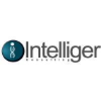 Intelliger Consulting logo - Similar company to Exploragen