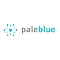 Paleblue logo - Similar company to Lifebox Security