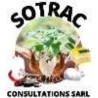 SOTRAC CONSULTATIONS logo - Similar company to Alsan Maroc