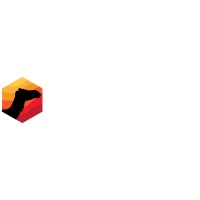camel cash logo - Similar company to Shoop