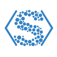 SynecticSoft logo - Similar company to Dascoding Ltd