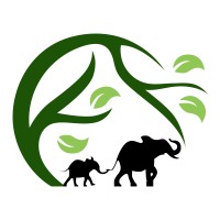 Trusted Accounting Partners