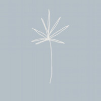 Project Reef logo - Similar company to River Organics
