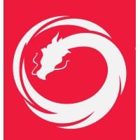 Vault Dragon Medical logo - Similar company to Sg Imed