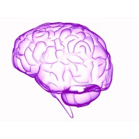 LearningRx logo - Similar company to Key Technical Solutions