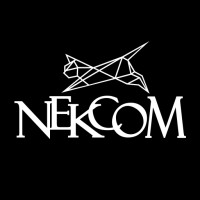 NEKCOM GAMES logo - Similar company to Next Studios