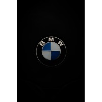 BMW Motors India logo - Similar company to Plexion Technologies