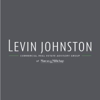Levin Johnston logo - Similar company to Districtt