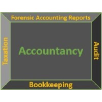 Tax Services In Dubai logo - Similar company to Tax Connect Uae - Accounting, Tax And Auditing