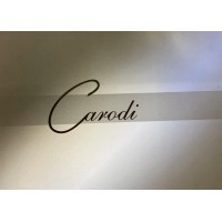DISEÑOS CARODI SL logo - Similar company to Alias Concept S.L