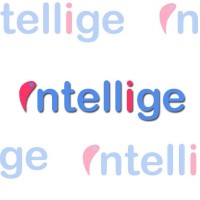Intellige Web Technologies Private Limited logo - Similar company to Picktime