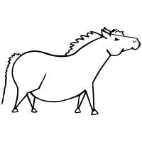 Fat Pony