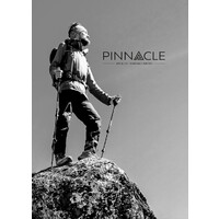 Pinnacle Wealth Management logo - Similar company to Obin Wealth Management