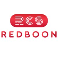 Redboon Consultancy Services logo - Similar company to Wnw Solutions