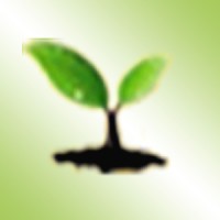 Positive International Limited logo - Similar company to Chemsol Limited