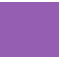 H/N W A logo - Similar company to Boethius Tech Inc.